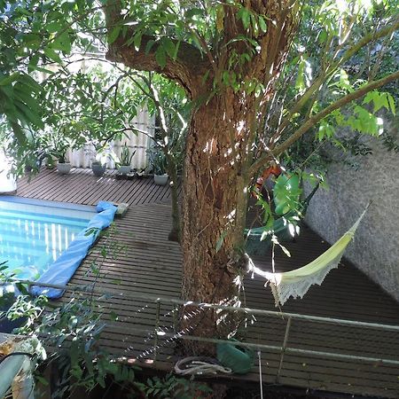 ריו דה ז'ניירו B&B Vitoria Regia מראה חיצוני תמונה