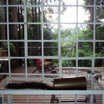 ריו דה ז'ניירו B&B Vitoria Regia מראה חיצוני תמונה