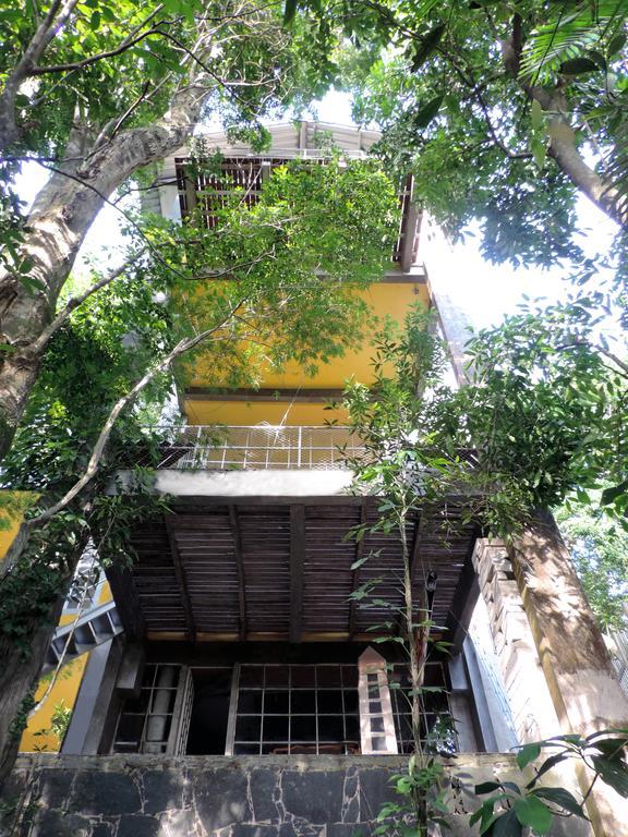 ריו דה ז'ניירו B&B Vitoria Regia מראה חיצוני תמונה